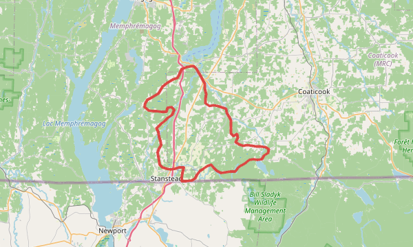 Carte de la sortie Into the Wild